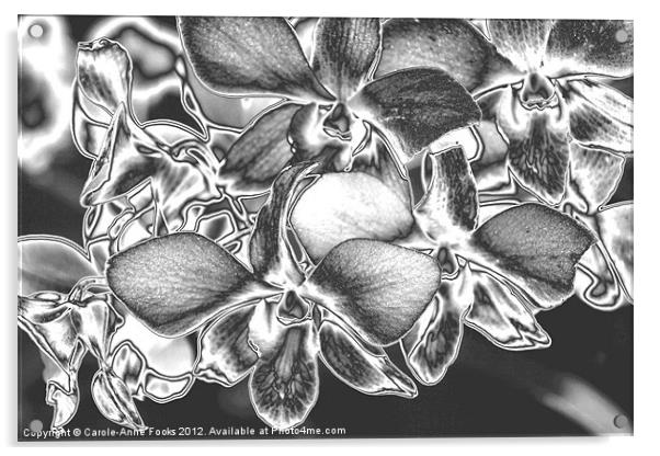 Metalised Orchid Flowers Acrylic by Carole-Anne Fooks