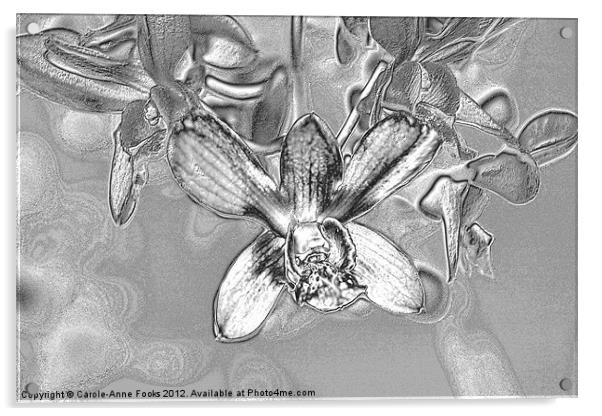 Silver Metalised Orchid Spray Acrylic by Carole-Anne Fooks