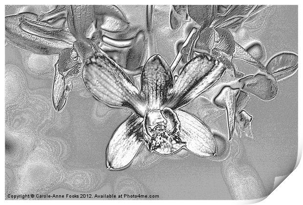 Silver Metalised Orchid Spray Print by Carole-Anne Fooks
