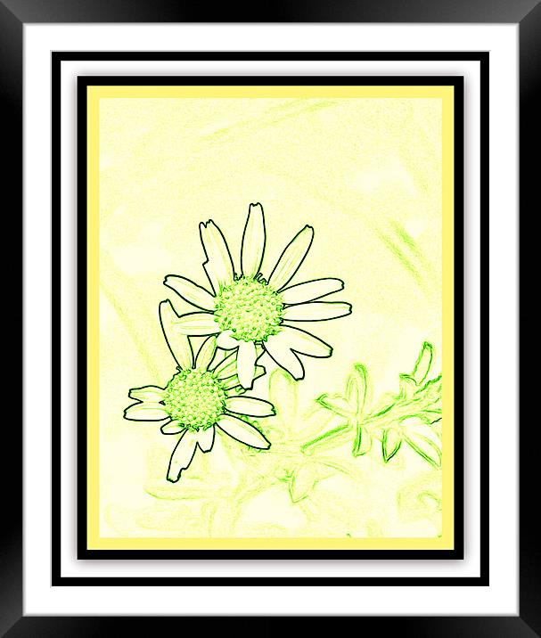 wild flower abstract Framed Mounted Print by anurag gupta