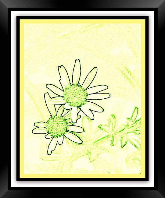 wild flower abstract Framed Print by anurag gupta