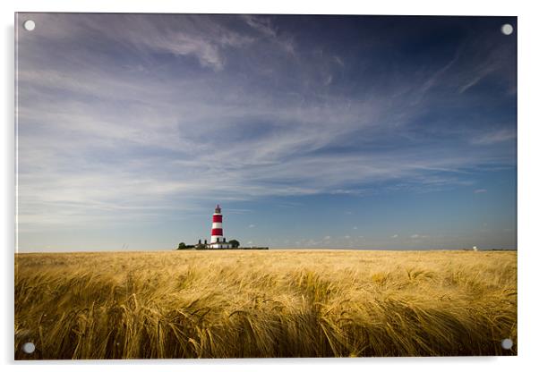 Summer Fields Acrylic by Simon Wrigglesworth