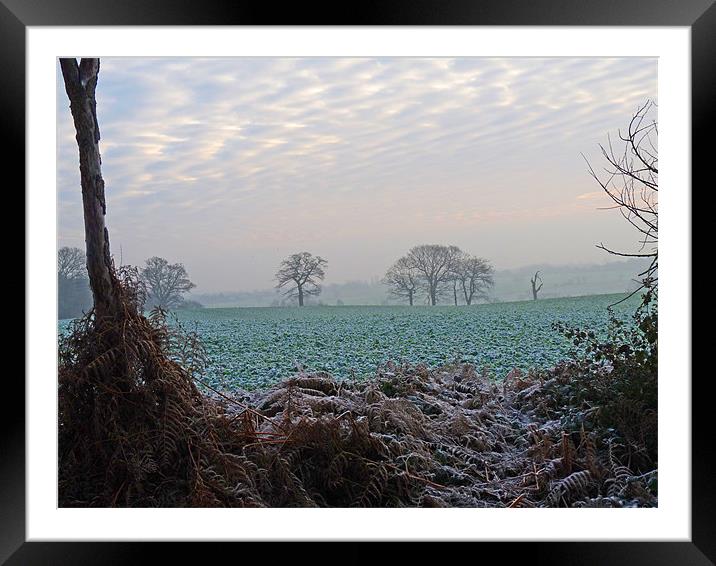 Winter Landscape Framed Mounted Print by Noreen Linale