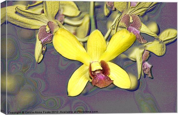 Orchids with Oil Slick Pattern Canvas Print by Carole-Anne Fooks