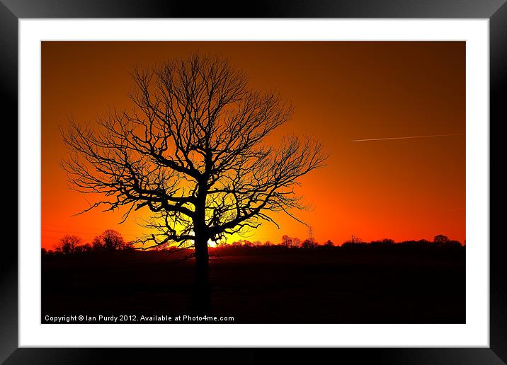Evening time Framed Mounted Print by Ian Purdy