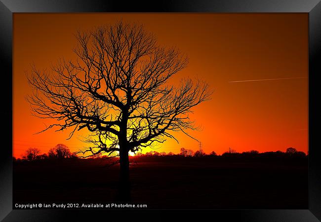 Evening time Framed Print by Ian Purdy