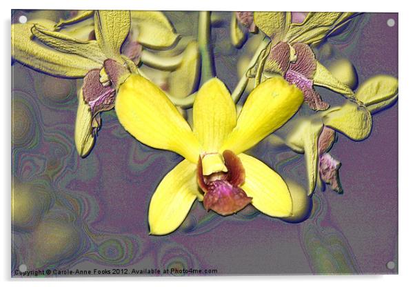 Orchids with Oil Slick Pattern Acrylic by Carole-Anne Fooks