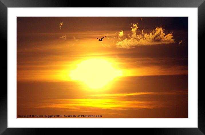 Seagull across the sunset Framed Mounted Print by Susan Medeiros