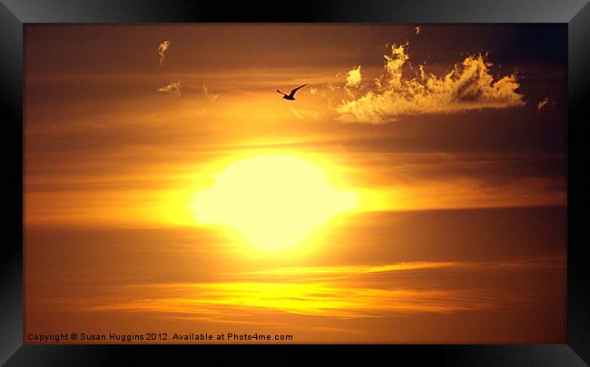 Seagull across the sunset Framed Print by Susan Medeiros