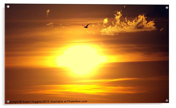 Seagull across the sunset Acrylic by Susan Medeiros