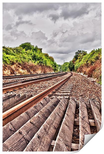 End of the Line Print by Dawn Cox