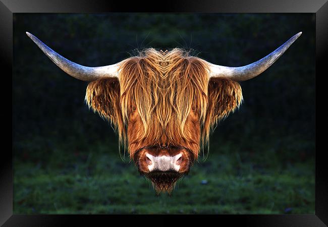 Long Horn Cow abstract Framed Print by Mike Gorton