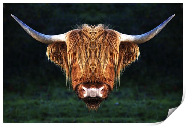Long Horn Cow abstract Print by Mike Gorton
