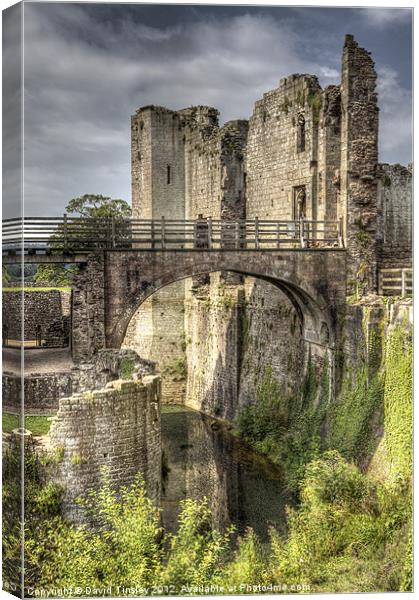 Castle Moat Canvas Print by David Tinsley