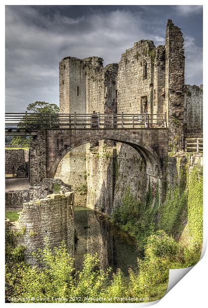 Castle Moat Print by David Tinsley