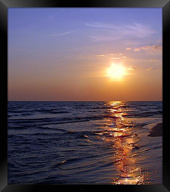 Brushed Love of the Sunset Framed Print by Susan Medeiros