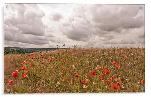 Poppies in Wheat Field Acrylic by Dawn Cox