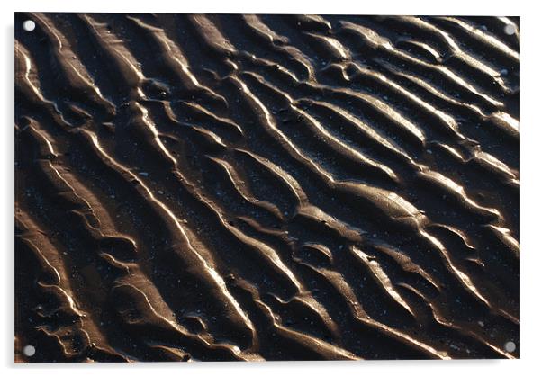 Sand Acrylic by Ross Manosn