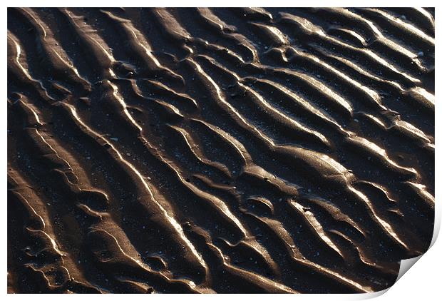 Sand Print by Ross Manosn