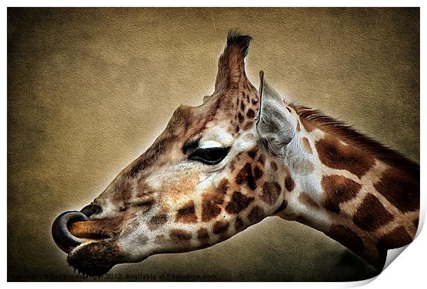 Giraffe Print by Fiona Messenger