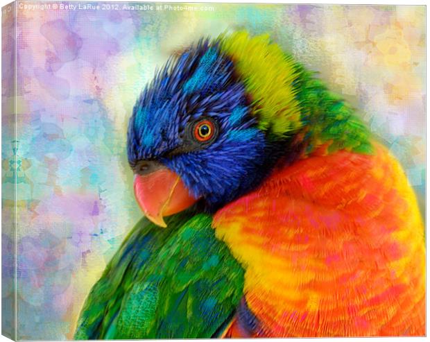 Colorful Rainbow Lorikeet Canvas Print by Betty LaRue