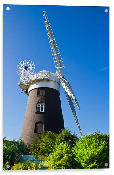 Restored Norfolk windmill. Acrylic by Lee Daly