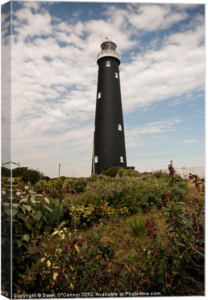 Old Lighthouse Dungeness Canvas Print by Dawn O'Connor