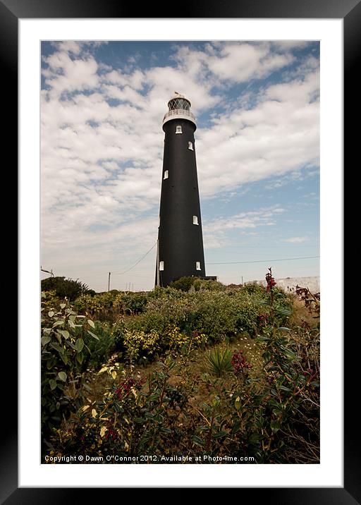Old Lighthouse Dungeness Framed Mounted Print by Dawn O'Connor