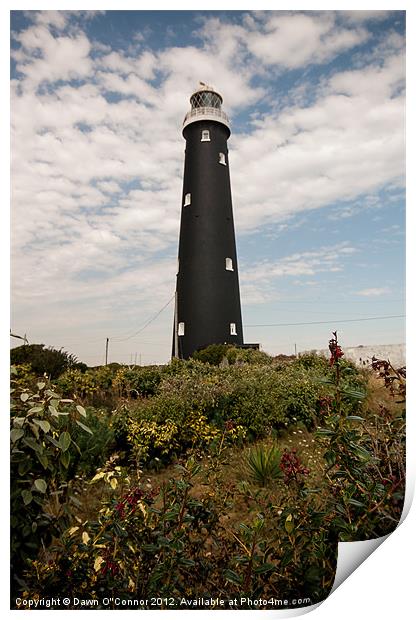 Old Lighthouse Dungeness Print by Dawn O'Connor