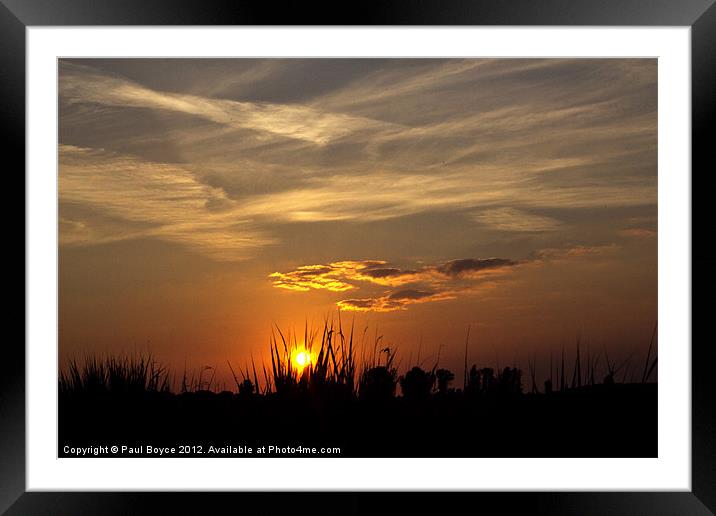 Chillax at Oulton Marsh Framed Mounted Print by Paul Boyce