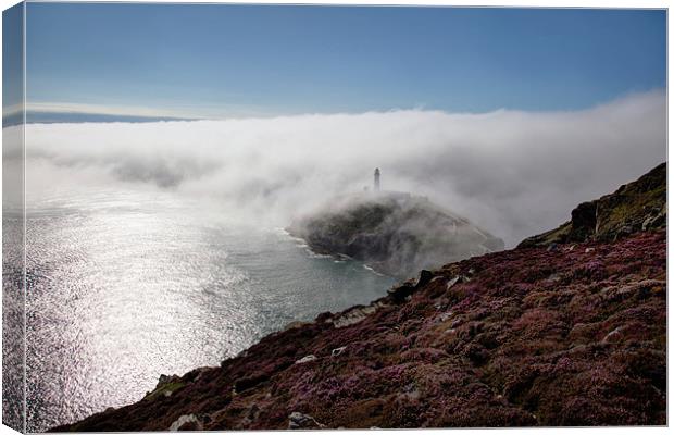 Fog bank Canvas Print by Gail Johnson