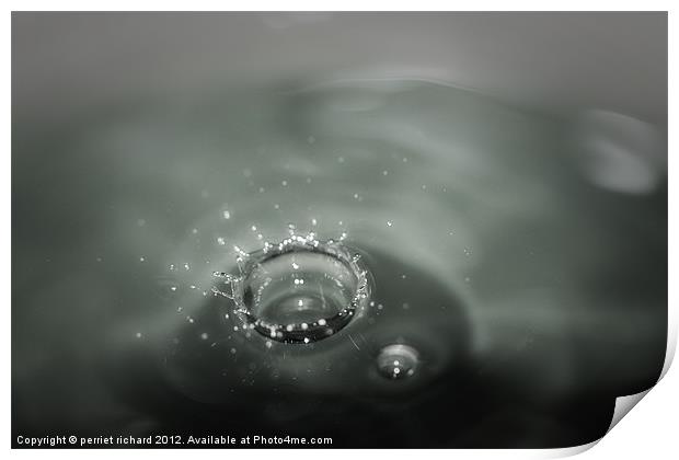 The diamant of water Print by perriet richard