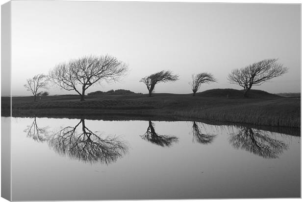 Black and White Landscape Reflection Canvas Print by patrick dinneen