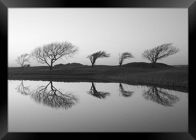 Black and White Landscape Reflection Framed Print by patrick dinneen