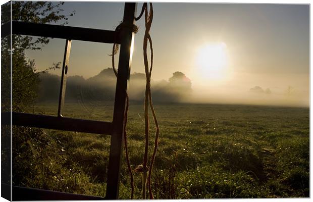 The Way Home Canvas Print by Steve Marriott