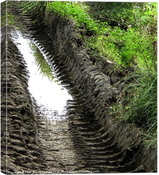 Patterns of tractor ruts & water Canvas Print by DEE- Diana Cosford