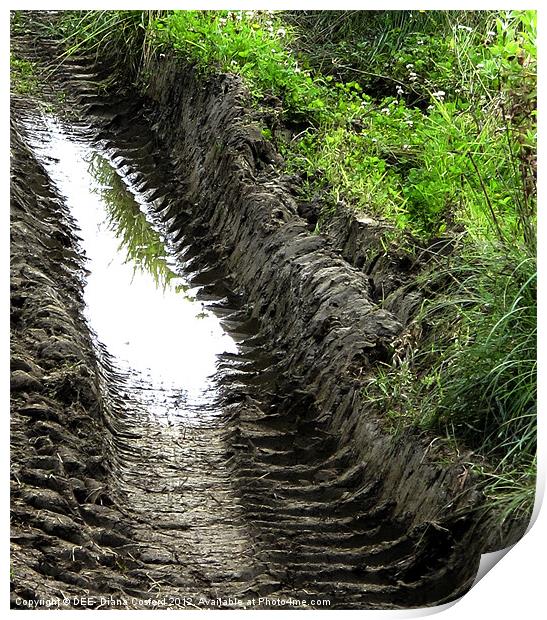 Patterns of tractor ruts & water Print by DEE- Diana Cosford