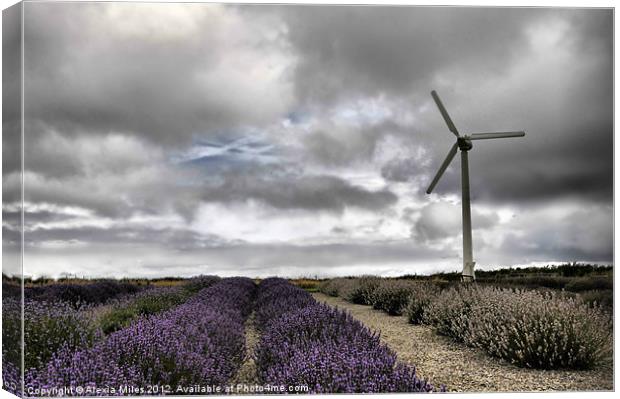 Lavender farm and Turbine Canvas Print by Alexia Miles