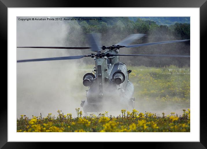 Chinook Landing in dust Framed Mounted Print by Oxon Images