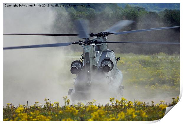 Chinook Landing in dust Print by Oxon Images