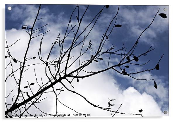 The branch Acrylic by stephen clarridge