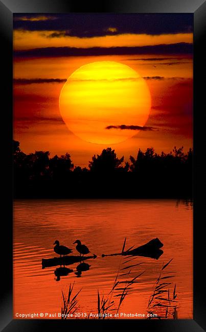 Sunset Ducks Framed Print by Paul Boyce