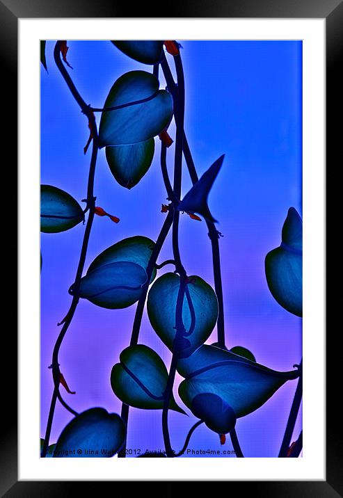 Philodendron Framed Mounted Print by Irina Walker