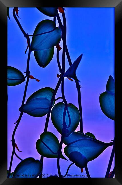 Philodendron Framed Print by Irina Walker