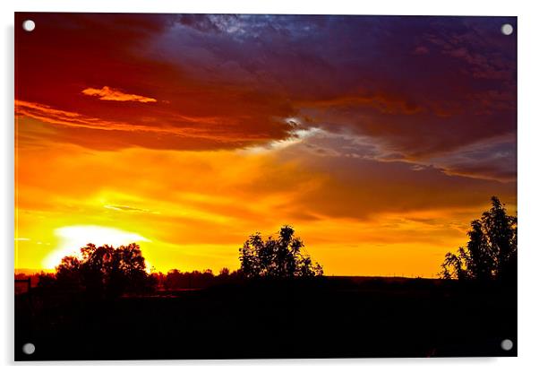 Oregon Sunset Acrylic by Irina Walker