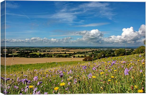 Sussex Downs - Wilmington Canvas Print by Phil Clements