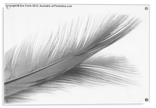 Feather and it's reflection in B&W Acrylic by Zoe Ferrie