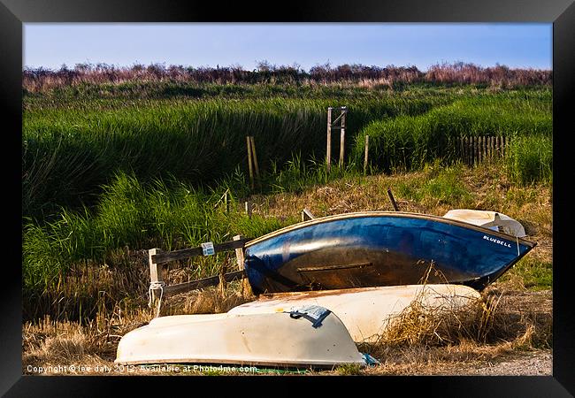 rowing boats. Framed Print by Lee Daly