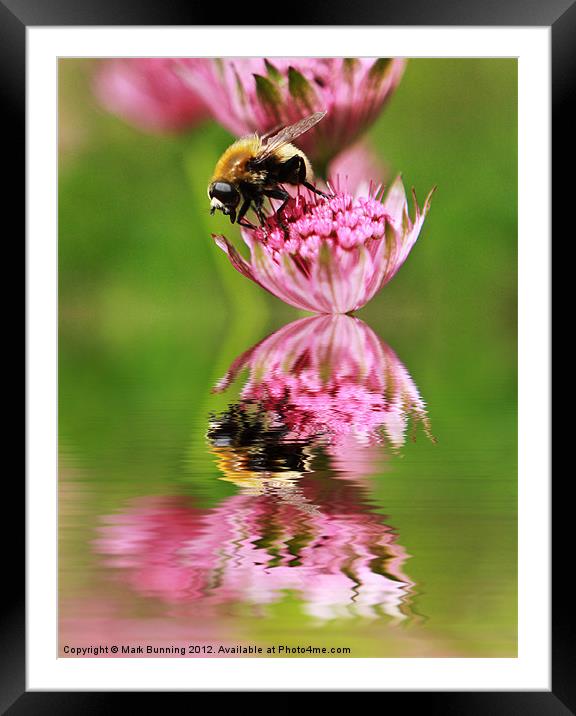 Working the day shift Framed Mounted Print by Mark Bunning