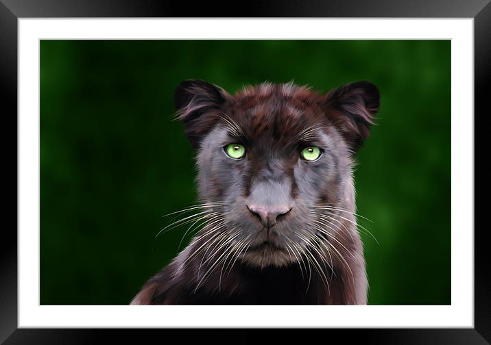 Saber Framed Mounted Print by Big Cat Rescue